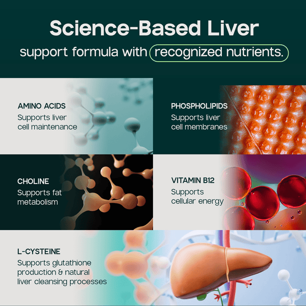 Liverite Liver Aid 90 Tablets -Advanced Liver Support with 17 Amino Acids, Choline and Phospholipids, Supports Healthy Liver Function and Metabolism