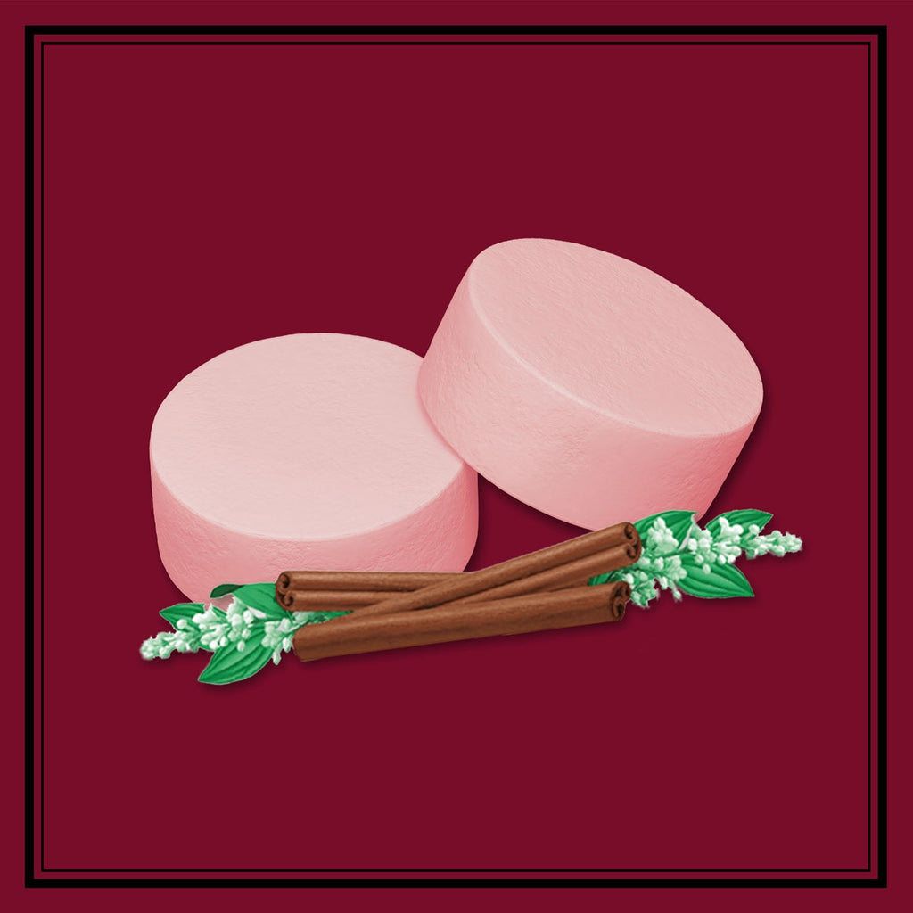 Altoids Cinnamon Breath Mints - 1.76 oz Tin