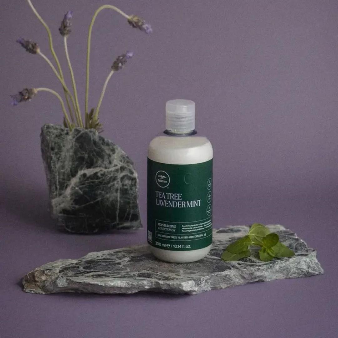 Paul Mitchell Tea Tree Lavender Mint Feuchtigkeitsspülung, 10.1 oz