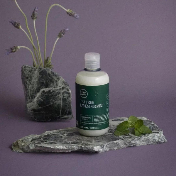 Paul Mitchell Tea Tree Lavender Mint Feuchtigkeitsshampoo, 10.1 oz