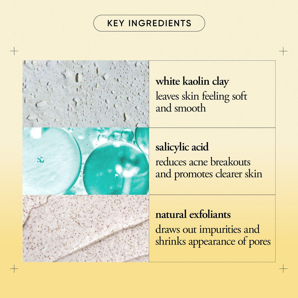 Purity Made Simple Pore Extractor Clay Mask