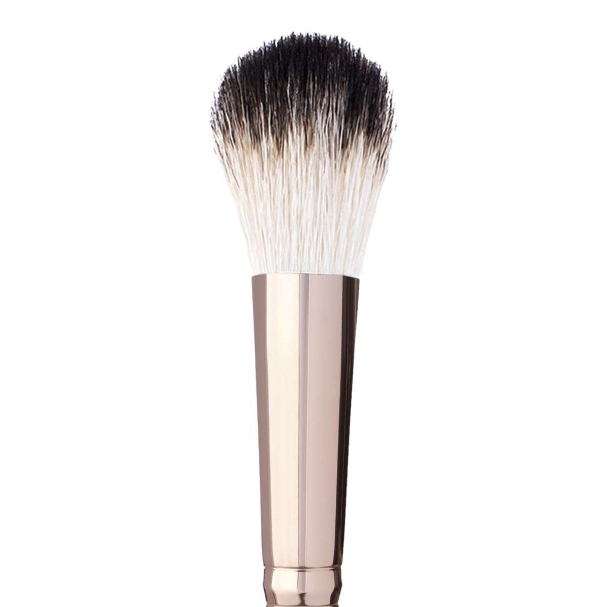 Large Tapered Blending Powder Brush A23
