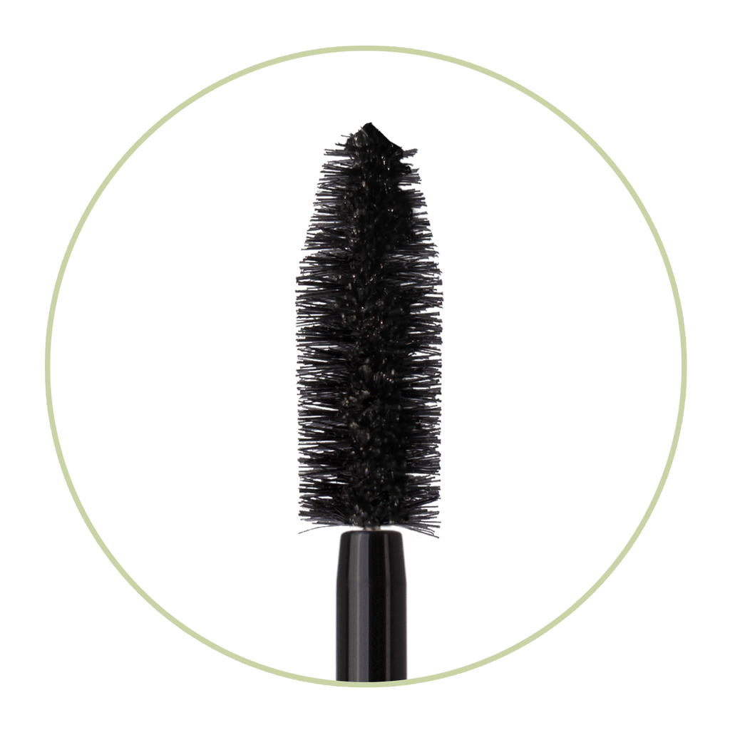 Large Lash Mascara
