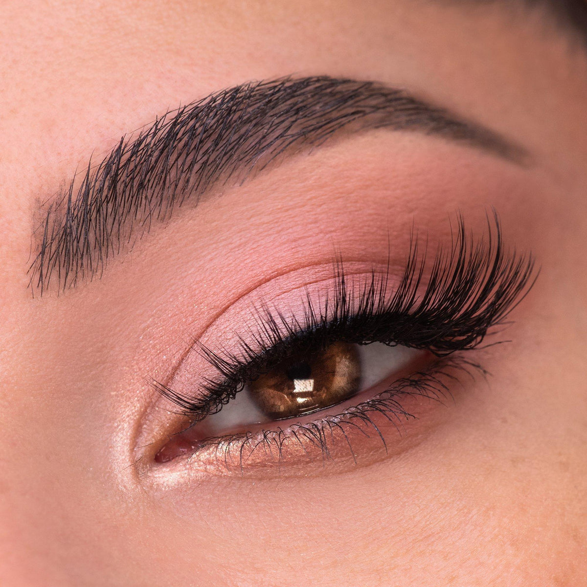 By The Rosé Pressed Powder Palette