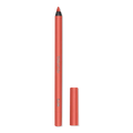 Matte Fix Lip Pencil