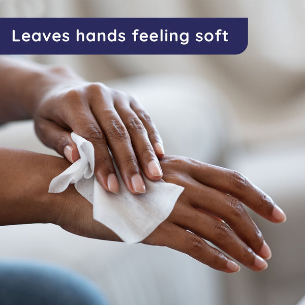 Wet Ones Antibacterial Hand Wipes, Fresh Scent, 24 Ct Individually Wrapped Hand Wipes