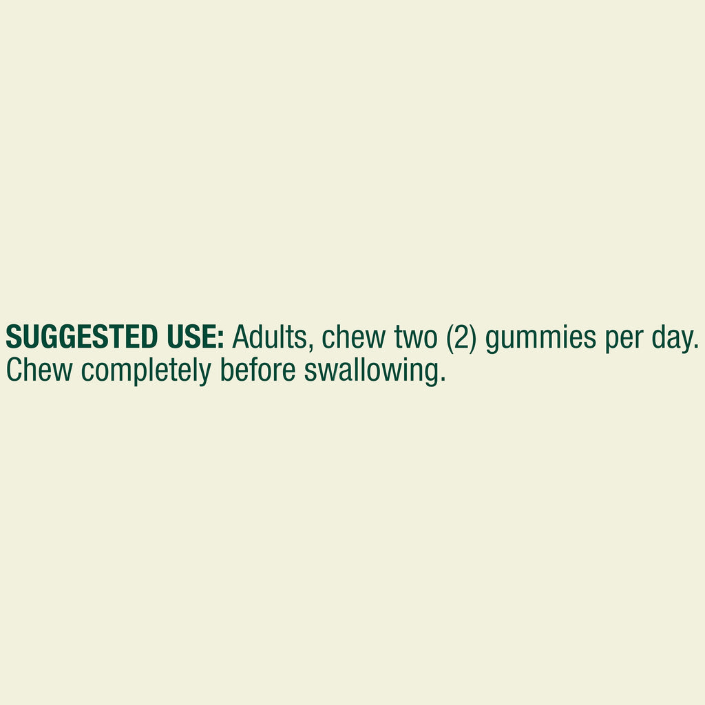 Spring Valley Immune Plus Dietary Supplement Vegetarian Gummies for Immune System Support, Elderberry, 60 Count