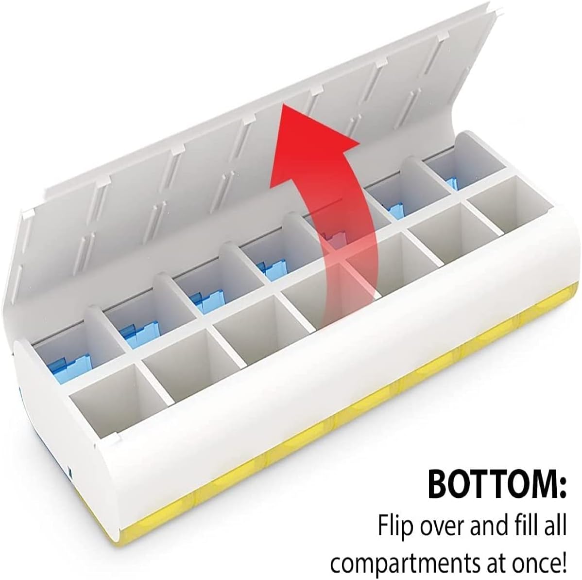 Ezy Dose Weekly (7-Day) AM/PM Pill Organizer, X-Large Case, Color May Vary