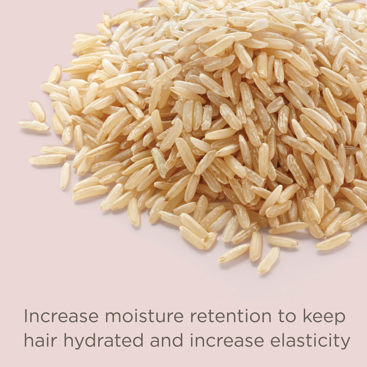 Hairitage Rice Water Scalp Cleansing Treatment Rinse, 8 oz