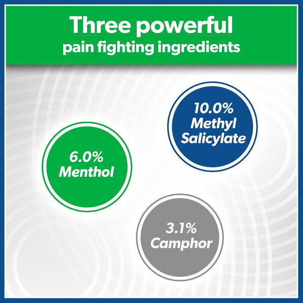 Salonpas Pain Relieving Patch, LARGE, 6 Count (Pack of 1)