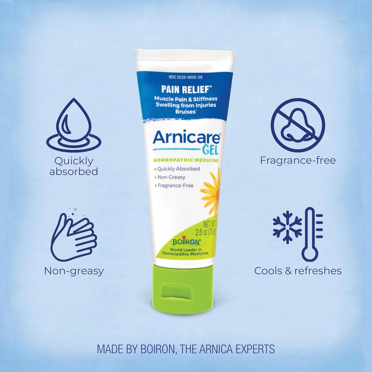 Boiron Arnicare Gel for Relief of Joint Pain, Muscle Pain, Muscle Soreness, and Swelling from Bruises or Injury - Non-greasy and Fragrance-Free
