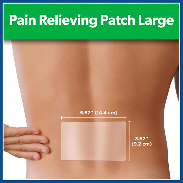 Salonpas Pain Relieving Patch, LARGE, 6 Count (Pack of 1)
