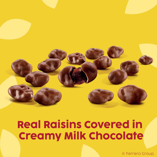 Raisinets Milk Chocolate Covered Raisins, Gluten-free California Chocolate Raisins, Resealable Bag, 8.0 oz
