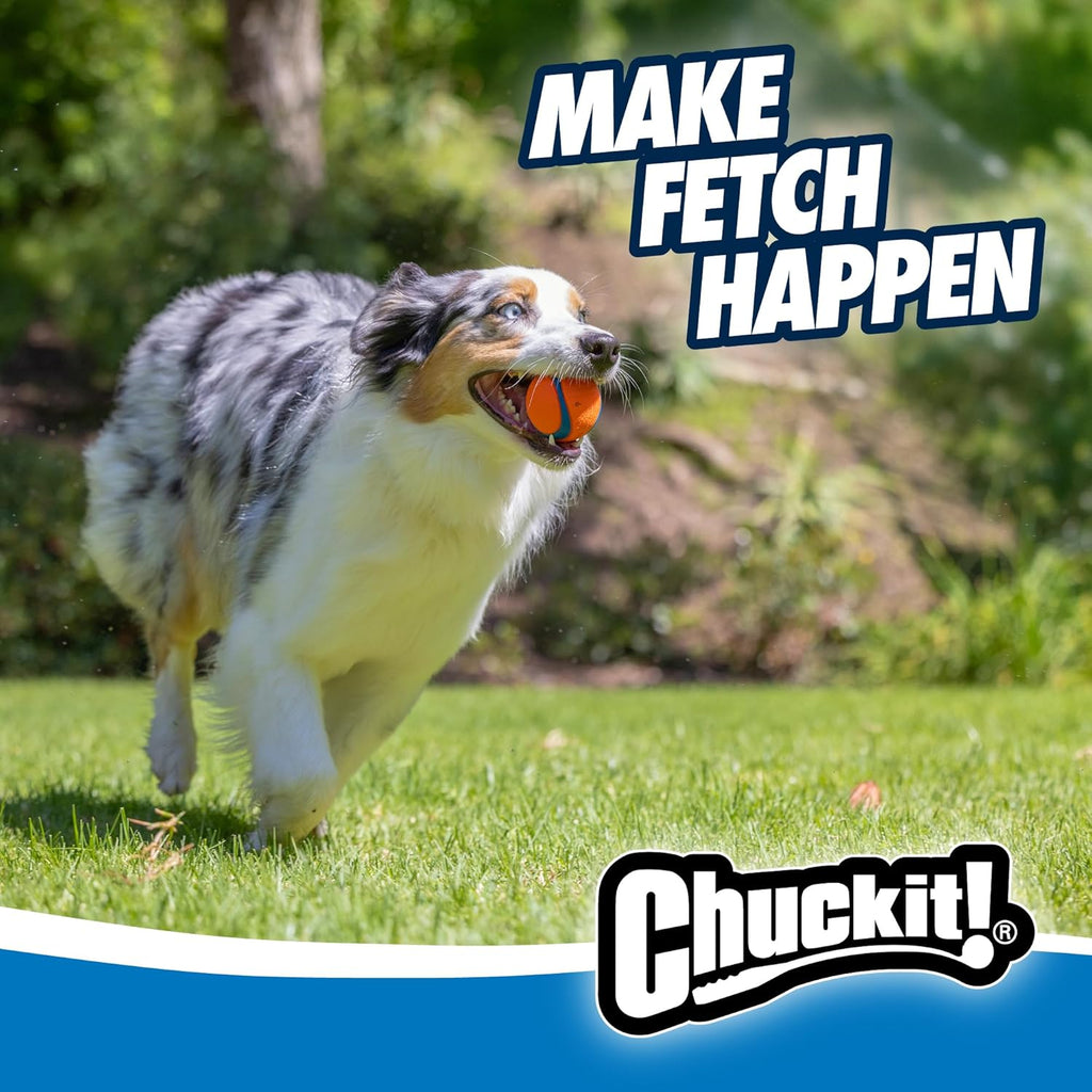 Chuckit! Ultra Ball Rubber Dog Ball Floating Fetch Toy Medium 2.5 in 4-Pack