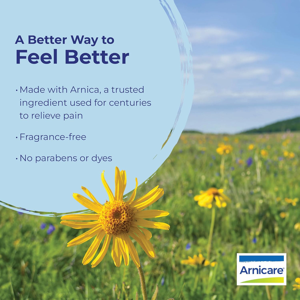 Boiron Arnicare Ointment for Relief of Joint Pain, Muscle Pain, Muscle Soreness, and Swelling from Bruises or Injury - Non-greasy and Fragrance-Free
