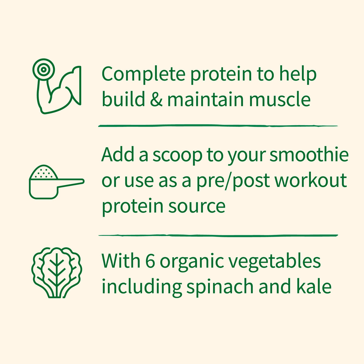 Garden of Life Organic Protein & Greens Protein Powder 20g Protein - Chocolate 18 Servings