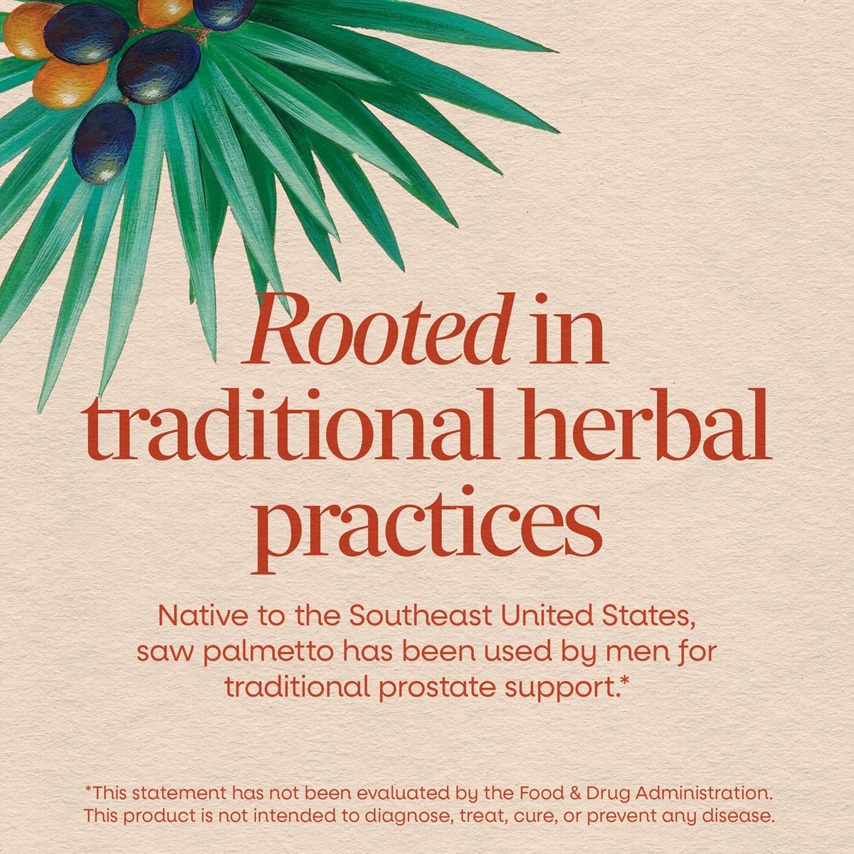Nature's Way Saw Palmetto Berries, Traditional Prostate Support*, 100 ct