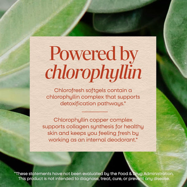 Nature's Way Chlorofresh Chlorophyll Concentrate Softgels, 90 ct