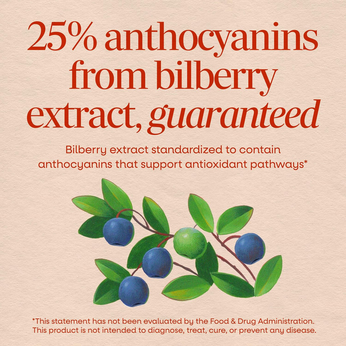 Nature's Way Bilberry, Eye Health Support Supplement for Adults*, 90 ct