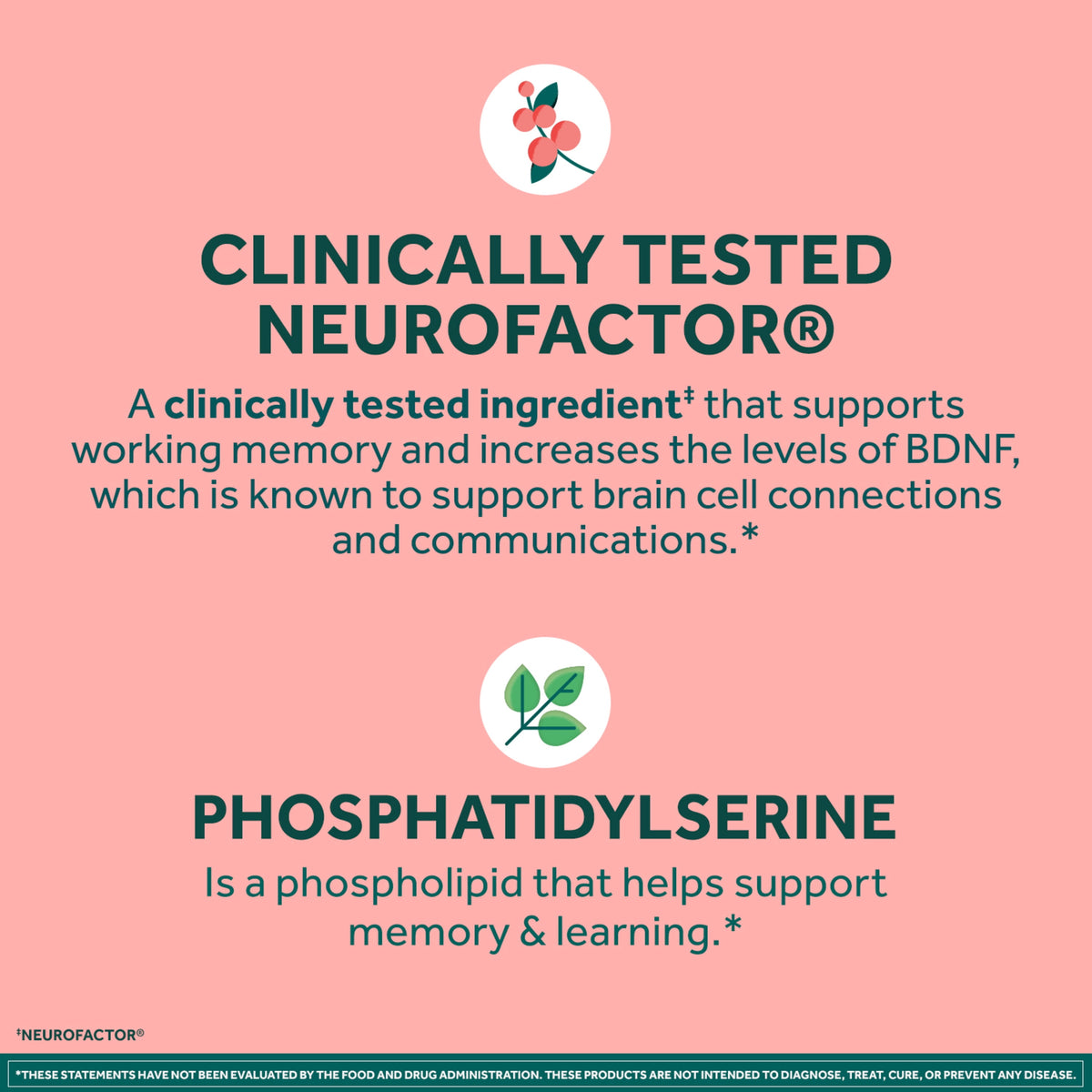 Neuriva Original Brain Supplements for Memory and Focus Phosphatidylserine Strawberry Gummies 50 Count