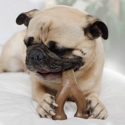 Benebone Wishbone Dog Chew Toy - Bacon - S