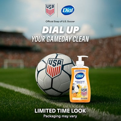 Dial Antibacterial Liquid Hand Soap Pump - 11 fl oz