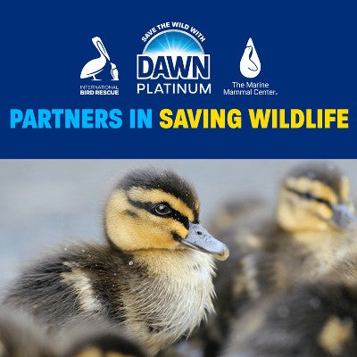 Dawn Fresh Rain Platinum Dish Soaps