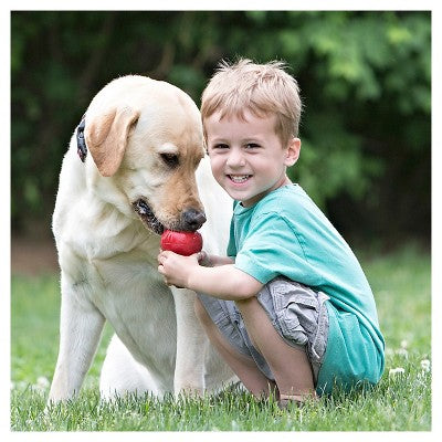 KONG Refillable Classic Chew Dog Toy - XL