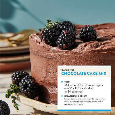 King Arthur Gluten Free Chocolate Cake Mix - 22oz