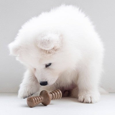 Benebone Puppy Pack Dog Chew Toys - Maple Wood/Bacon - XS - 2pk