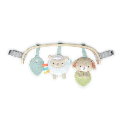 Ingenuity Carrier Toy Bar