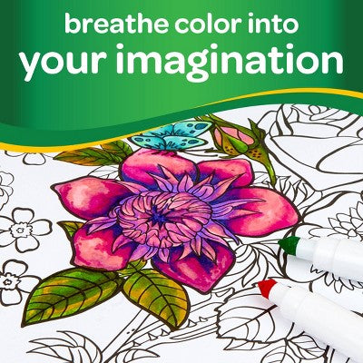 Crayola Supertips Markers
