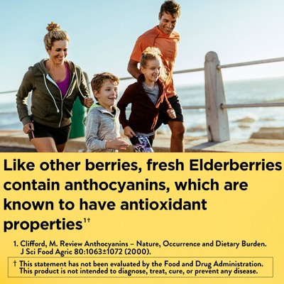 Nature Made Elderberry with Vitamin C and Zinc for Immune Support Gummies - Raspberry