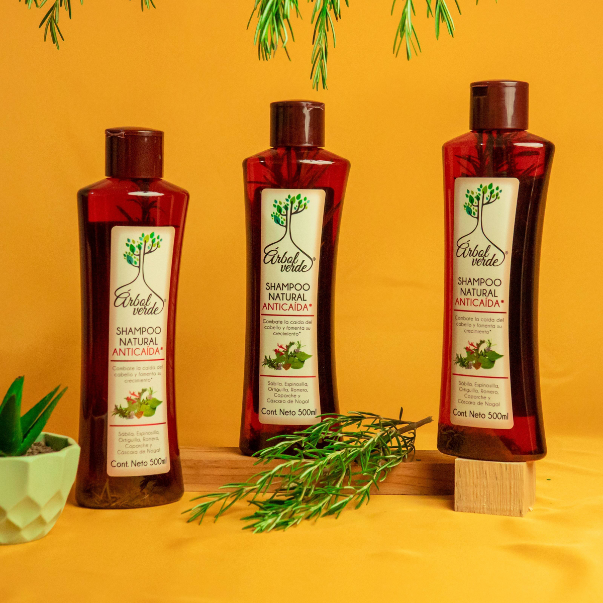 Arbol Verde Kräuter-Shampoo gegen Haarausfall 16.9 fl oz