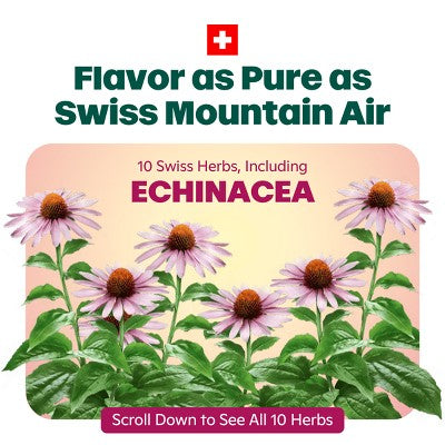 Ricola Honey Lemon with Echinacea Menthol Cough Drops - 45ct