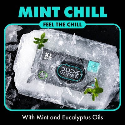 Dude Wipes Mint Chill Infused with Tea Tree Oil Flushable Personal Wipes - 48ct