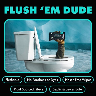 Dude Wipes Mint Chill Infused with Tea Tree Oil Flushable Personal Wipes - 48ct