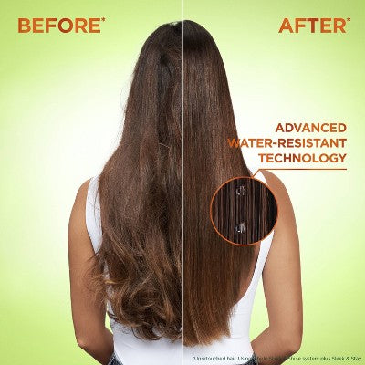 Garnier Fructis Sleek & Shine Fortifying Shampoo for Frizzy Hair