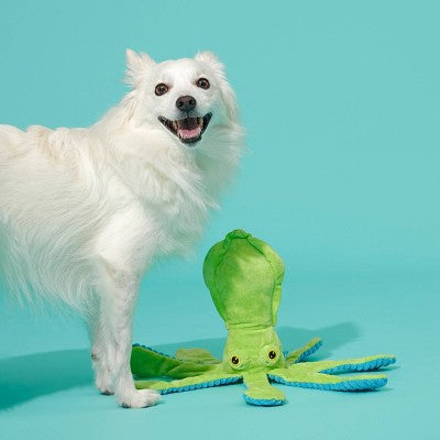 BARK Billy The Squid Dog Toy - Green