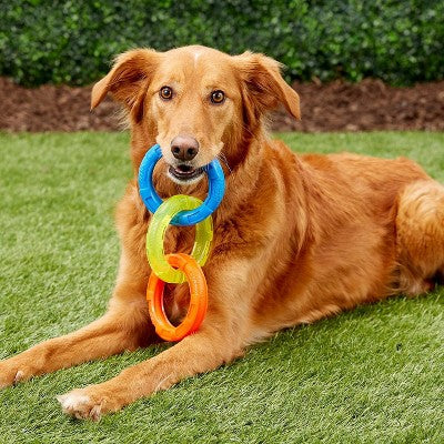 NERF 3-Ring Tug Dog Toy - Blue - L