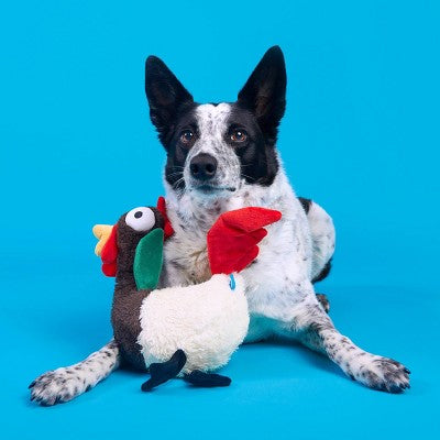 BARK Cock-a-Doodle-Chew Dog Toy