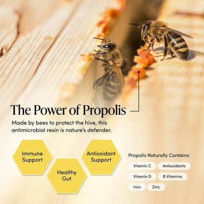 Beekeeper's Naturals Daily Propolis Immune Support Spray - 1 fl oz: Drug-Free, Contains Honey, No Artificial Sweeteners