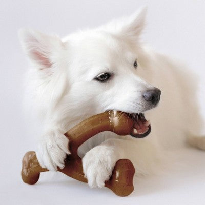 Benebone Wishbone Dog Chew Toy - Bacon - M