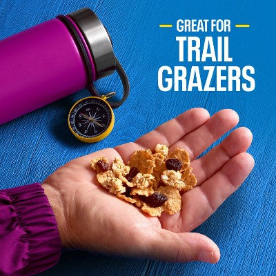 Raisin Bran Breakfast Cereal