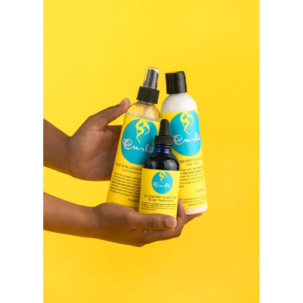 Curls Blueberry Bliss Aloe & Blueberry Juice Curl Moisturizer. 8 fl oz