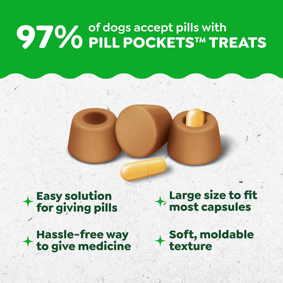 Greenies Pill Pockets for Dogs, Chicken Flavor, Large Size, Soft Dog Treats, 15.8 oz Pouch