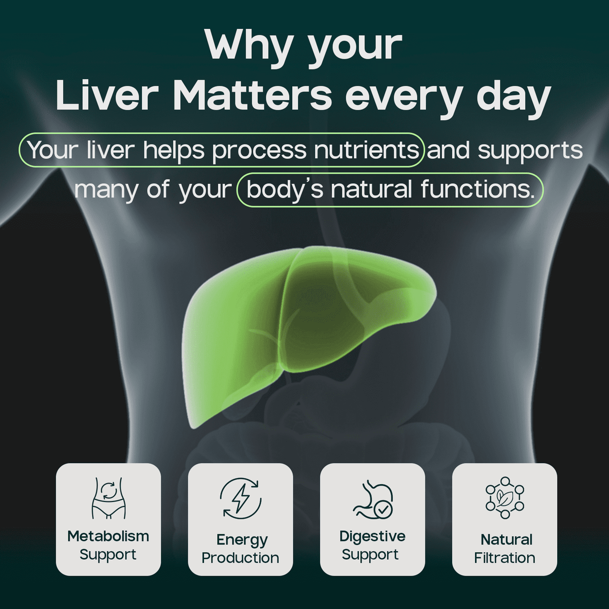 Liverite Liver Aid 90 Tablets -Advanced Liver Support with 17 Amino Acids, Choline and Phospholipids, Supports Healthy Liver Function and Metabolism