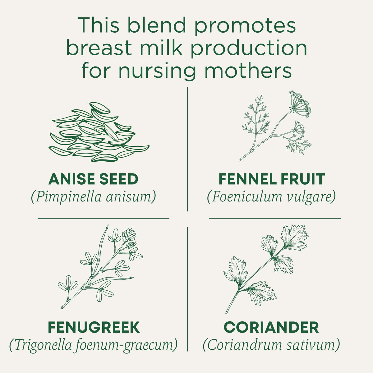 Traditional Medicinal Mother's Milk, Organic Tea Bags, 16 Count