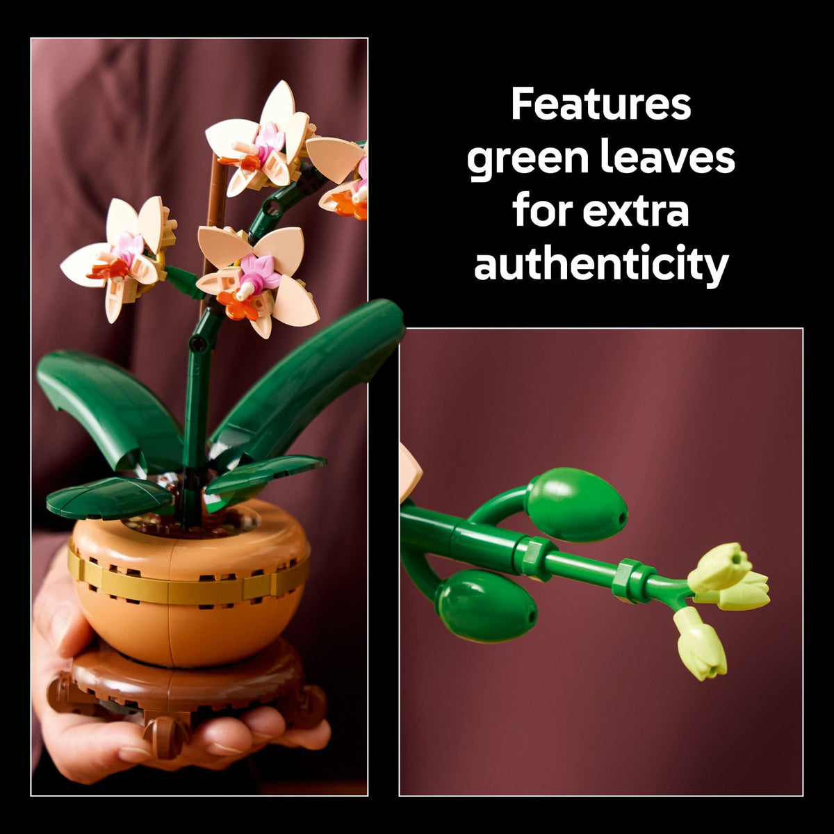 LEGO Botanicals Mini Orchid Building Set 10343, Artificial Plant Home Decor for Adults 18+