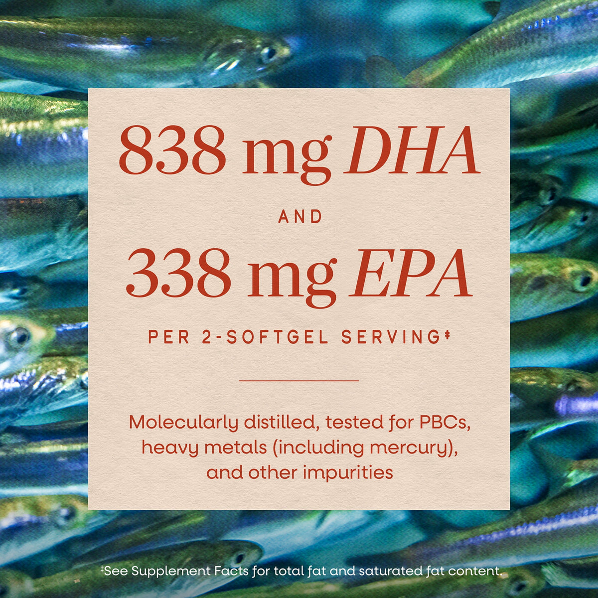 Nature's Way Mega-DHA Premium Fish Oil Softgels, Supports Eye and Brain Function*, Omega-3, 60 Count